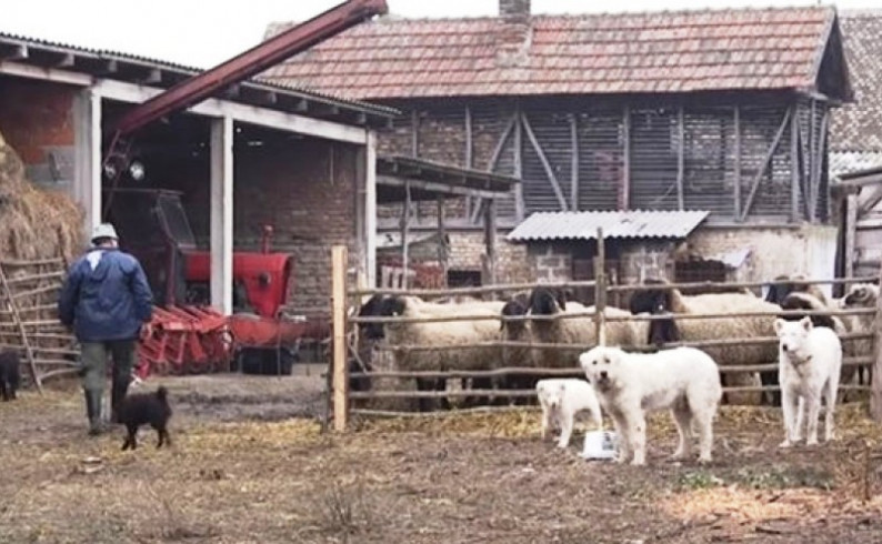 Anketiranje poljoprivrednih gazdinstava