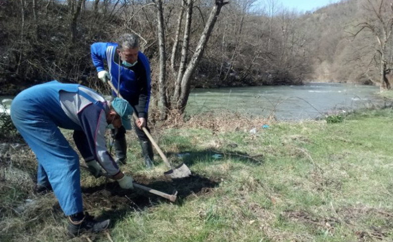Sadnjom jasena, počela velika akcija uređenja obala i zelenih površina