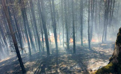 Požarima nema kraja, sumnja se na piromane