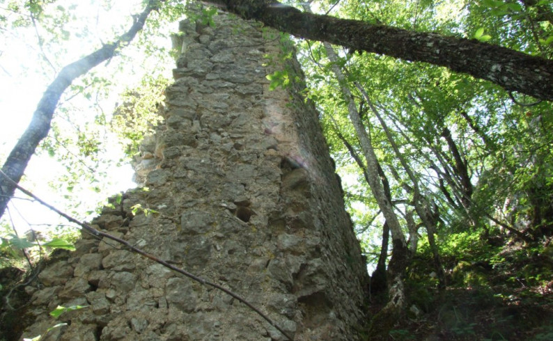 Stari gradovi u kanjonima Bistrice, Govze i Ćehotine