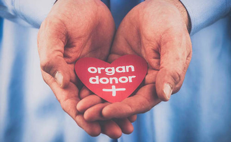 U Foči u srijedu predavanje o donorstvu organa
