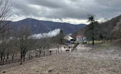 Mangulice Bora Vilotića – priča koja oživljava Kozarevinu
