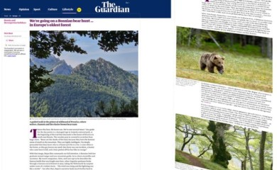 Britanski Gardijan o NP „Sutjeska“: Perućica je jedna od posljednjih istinskih divljina Evrope